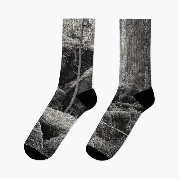 Item preview, The forest of the moss bw designed and sold by Jouko Lehto Photography.