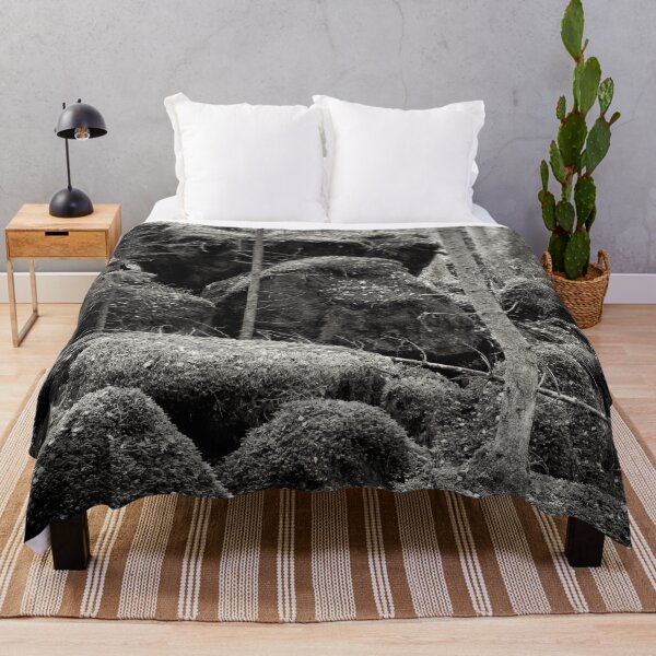 Item preview, The forest of the moss bw designed and sold by Jouko Lehto Photography.
