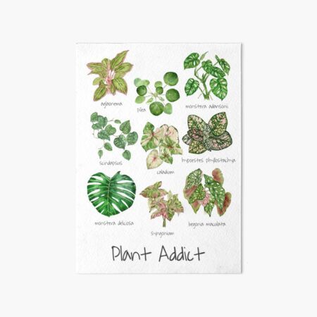 Item preview, Plant addict designed and sold by PetitMartin.