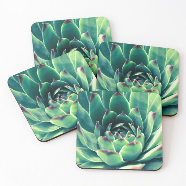 Item preview, Lovely green houseleek - vintage vibes designed and sold by Juditdesign.