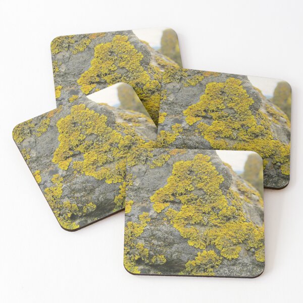Item preview, moss covered stone designed and sold by Bethan Rose Studio.