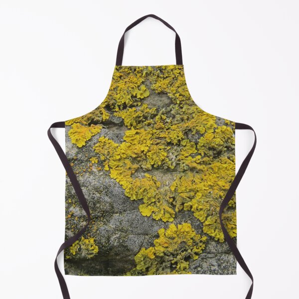 Item preview, moss covered stone designed and sold by Bethan Rose Studio.