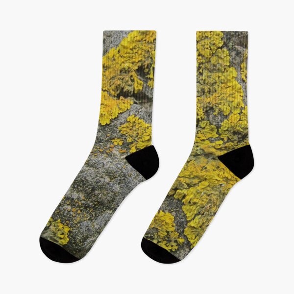 Item preview, moss covered stone designed and sold by Bethan Rose Studio.