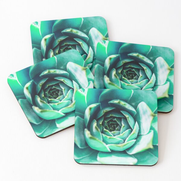 Item preview, Lovely mint houseleek - vintage vibes designed and sold by Juditdesign.
