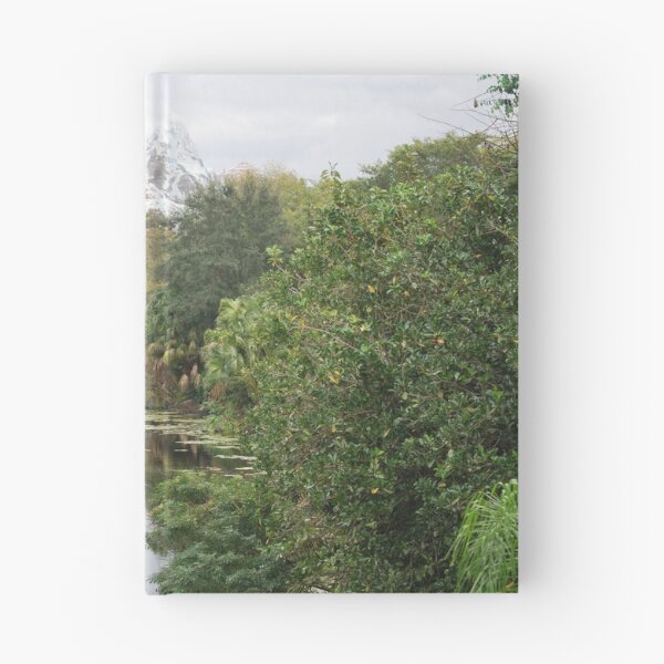 Item preview, Expedition Everest - Far Shot designed and sold by sarahshanely.