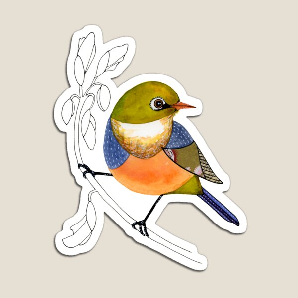 Silvereye bird Magnet