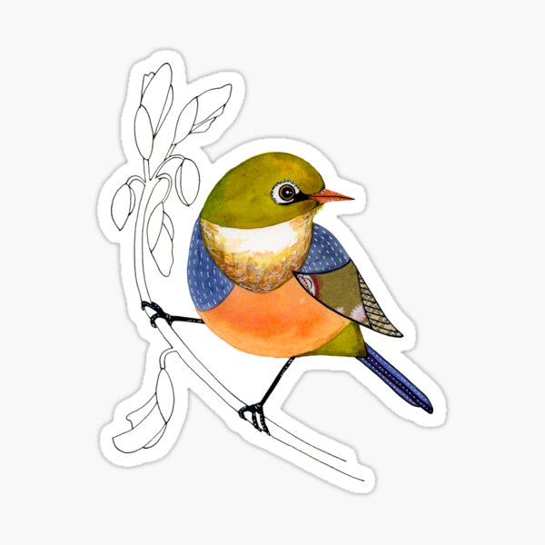 Silvereye bird Sticker