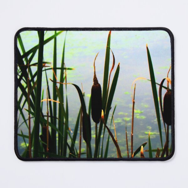 Item preview, Cattail Silhouettes designed and sold by alabca.