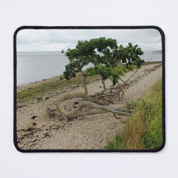 Item preview, Coastal Tree designed and sold by pinkal.