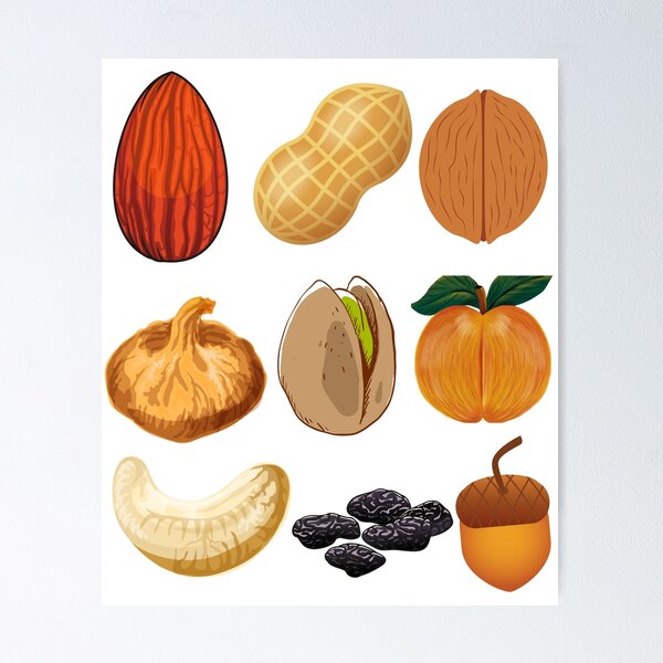 Dry Fruits Vector Images (over 9,100)