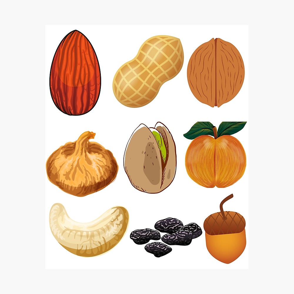 dry fruit collection dry fruit collection