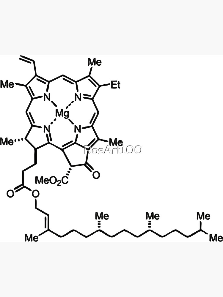 estructura de la clorofila b