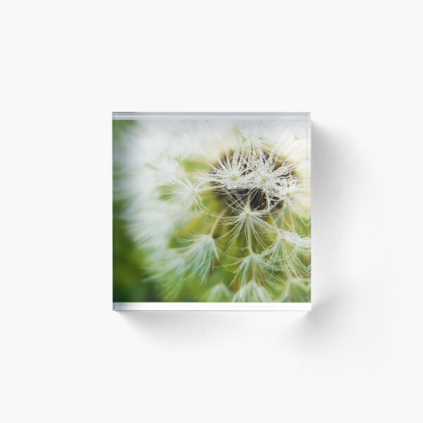 Make a Wish Acrylic Block