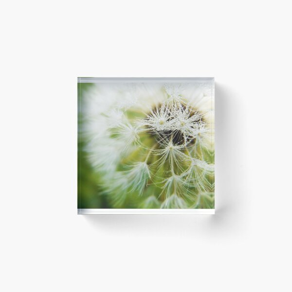 Make a Wish Acrylic Block