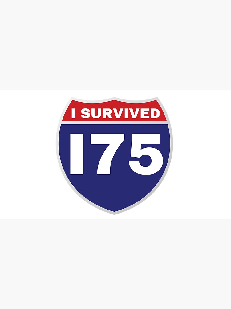 I SURVIVED I75 by kgerstorff