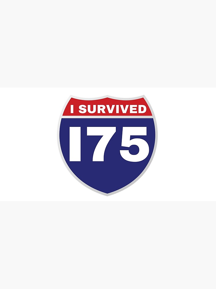 I SURVIVED I75 by kgerstorff