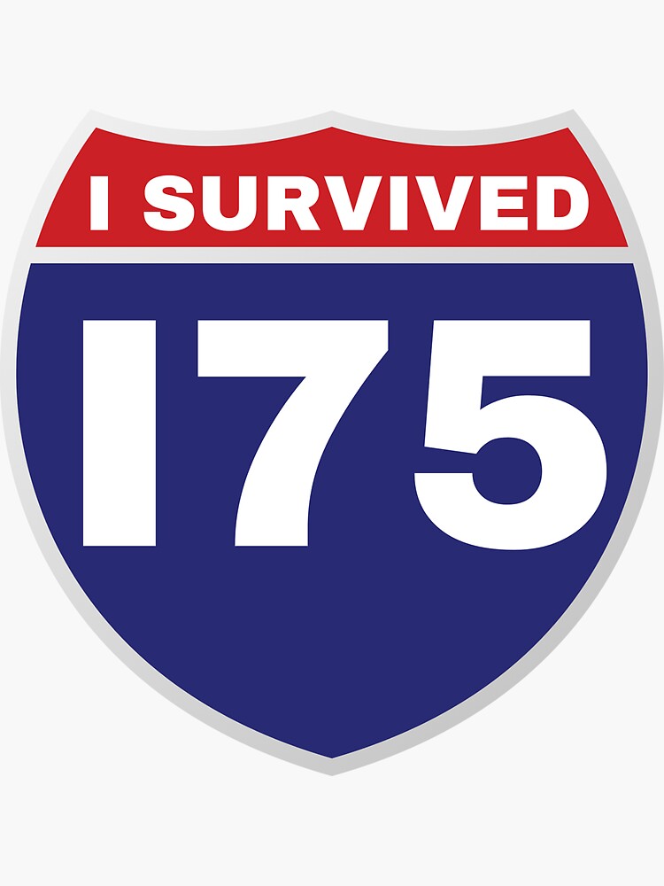 I SURVIVED I75 by kgerstorff