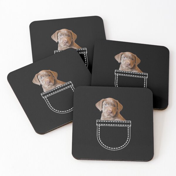 Item preview, Puppy in a pocket. Chocolate labrador puppy in a pocket. Funny, cute photo and line drawing pocket designed and sold by JellyBeenzz.