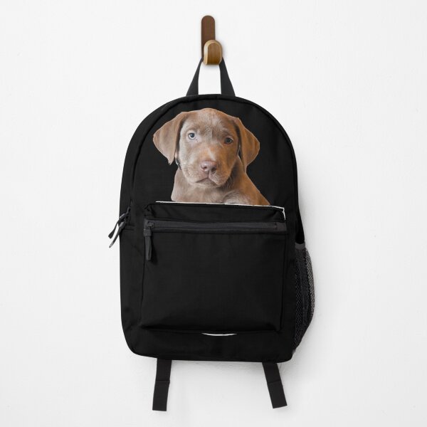 Item preview, Puppy in a pocket. Chocolate labrador puppy in a pocket. Funny, cute photo and line drawing pocket designed and sold by JellyBeenzz.