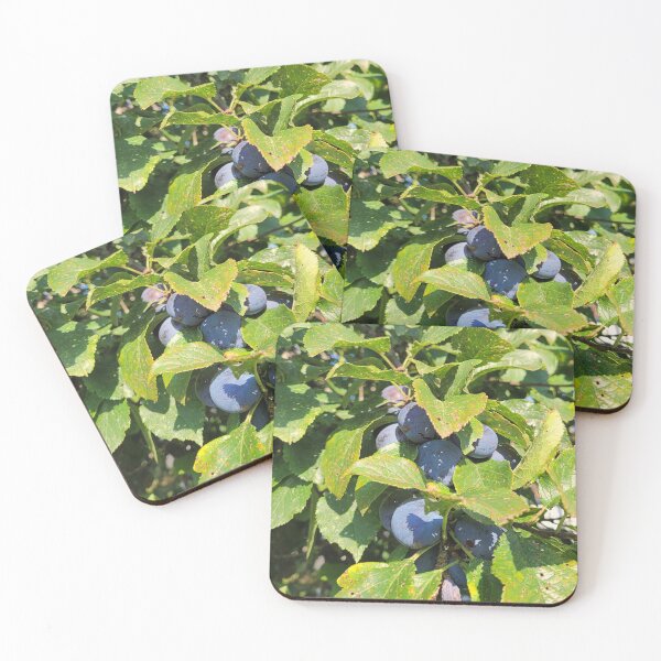 Item preview, ripening plums designed and sold by Bethan Rose Studio.