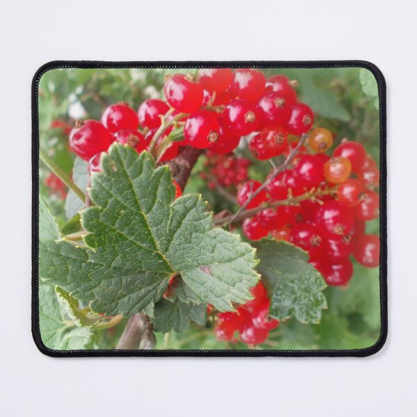Item preview, Redcurrants designed and sold by angel1.
