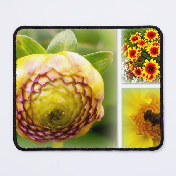 Item preview, Nature's perfect symmetries designed and sold by angel1.