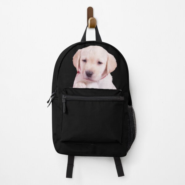 Item preview, Puppy in a pocket. Golden labrador puppy in a pocket. Funny, cute photo and line drawing pocket designed and sold by JellyBeenzz.
