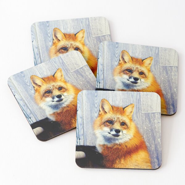 Item preview, fox photo with high resolution quality designed and sold by Allyouneed-2.