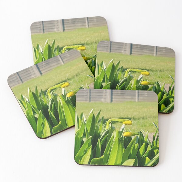 Item preview, tete a tete flowers designed and sold by Bethan Rose Studio.