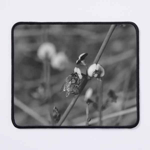 Item preview, Flying Bee Bee Collecting Pea Flower Bees Black And White designed and sold by Jason Gilbert.