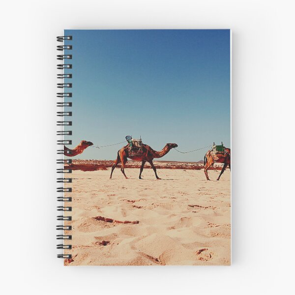 Item preview, camel photo with high resolution quality designed and sold by Allyouneed-2.