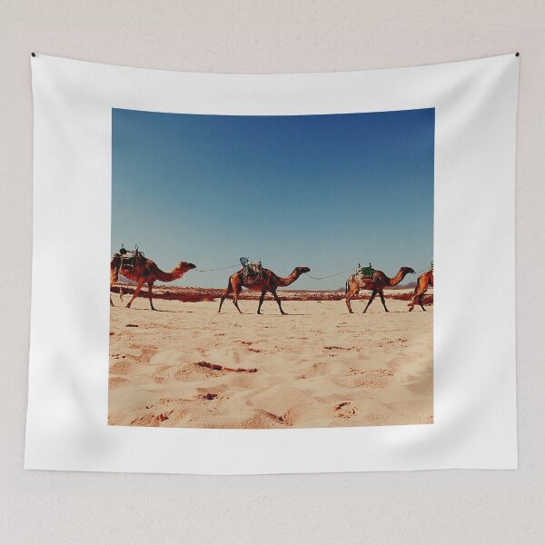 Item preview, camel photo with high resolution quality designed and sold by Allyouneed-2.