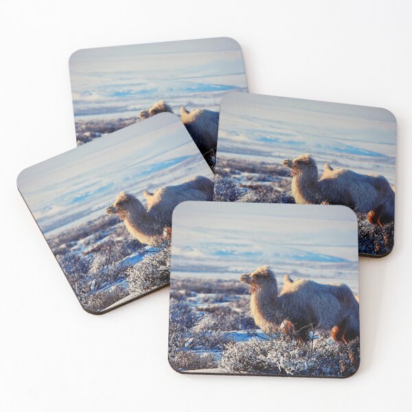 Item preview, camel photo with high resolution quality designed and sold by Allyouneed-2.