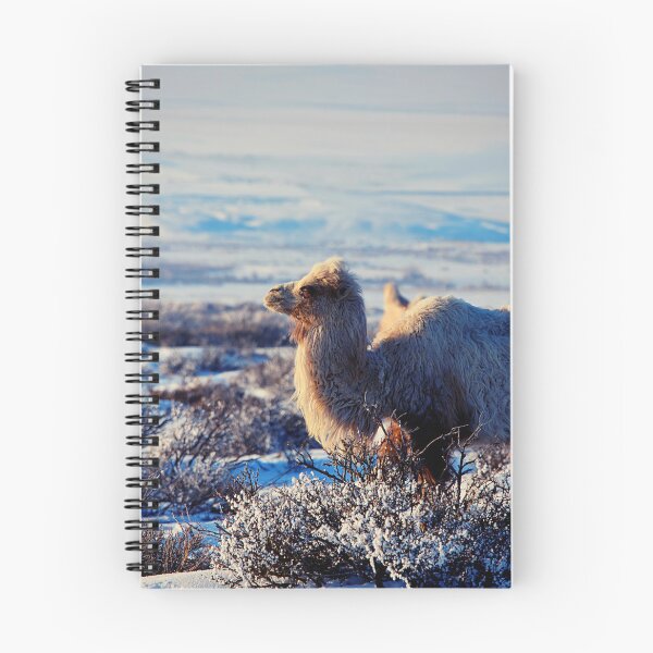 Item preview, camel photo with high resolution quality designed and sold by Allyouneed-2.