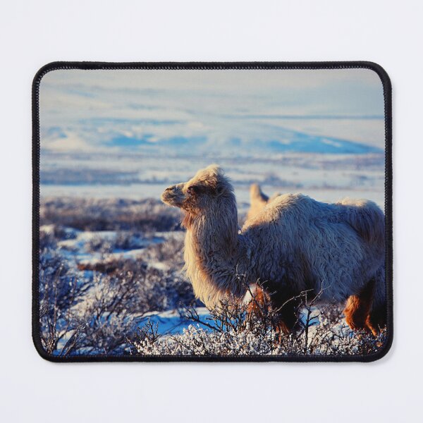 Item preview, camel photo with high resolution quality designed and sold by Allyouneed-2.