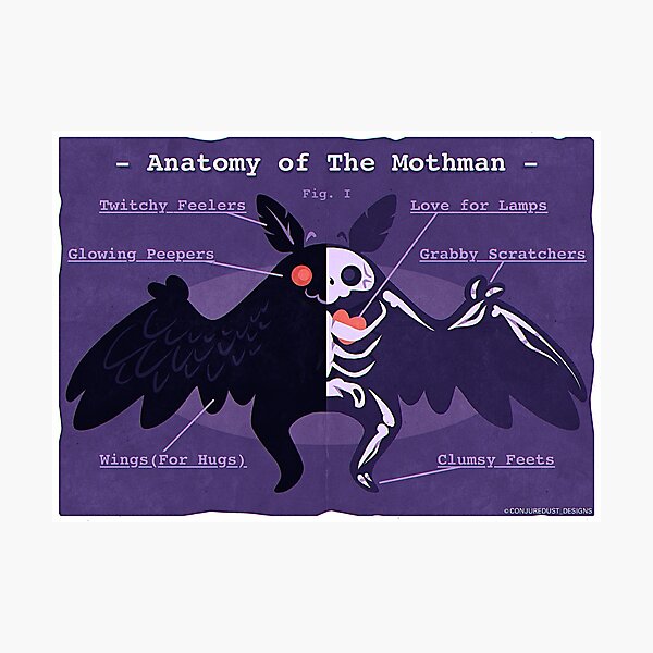 Mothman Anatomy - Print Photographic Print
