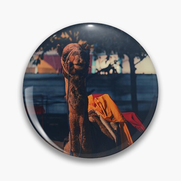 Item preview, camel photo with high resolution quality designed and sold by Allyouneed-2.