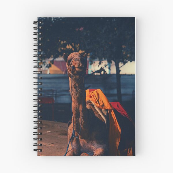 Item preview, camel photo with high resolution quality designed and sold by Allyouneed-2.