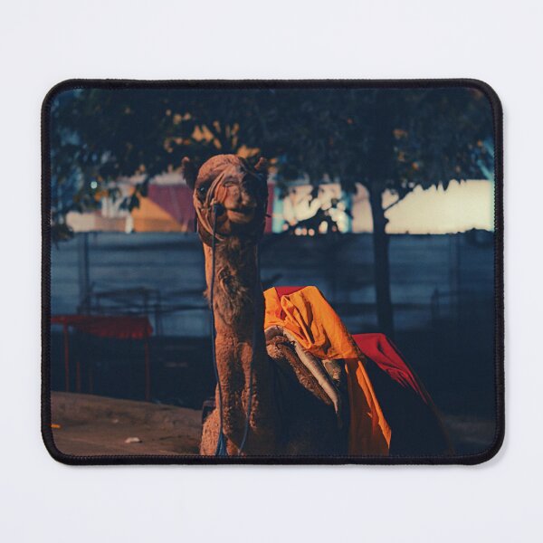 Item preview, camel photo with high resolution quality designed and sold by Allyouneed-2.
