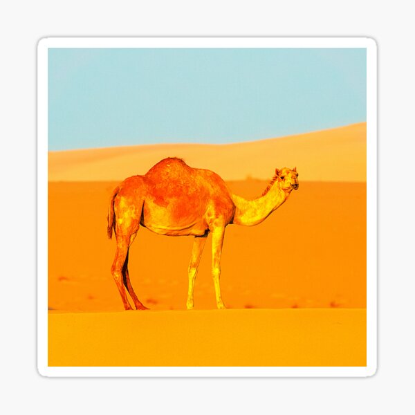 Item preview, camel photo with high resolution quality designed and sold by Allyouneed-2.