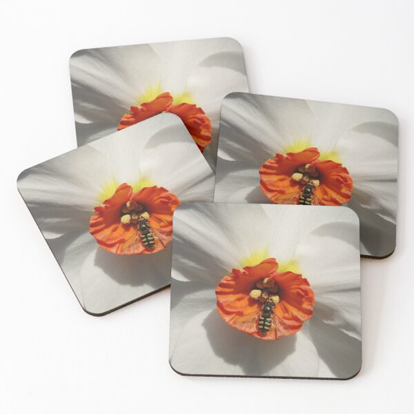 Item preview, einstein daffodil designed and sold by Bethan Rose Studio.