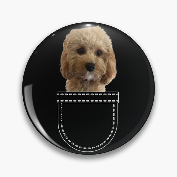 Item preview, Puppy in a pocket. Red ruby apricot Cavoodle / Cavapoo puppy in a pocket. Funny, cute photo and line drawing pocket designed and sold by JellyBeenzz.