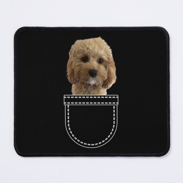 Item preview, Puppy in a pocket. Red ruby apricot Cavoodle / Cavapoo puppy in a pocket. Funny, cute photo and line drawing pocket designed and sold by JellyBeenzz.