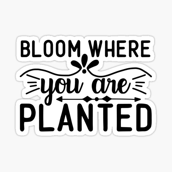 Bloom where you are planted Sticker for Sale by Design Dreamer