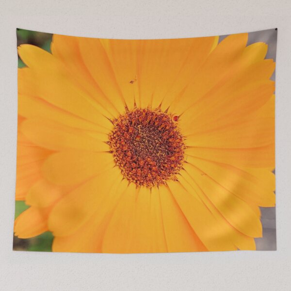 Item preview, calendula bloom designed and sold by Bethan Rose Studio.