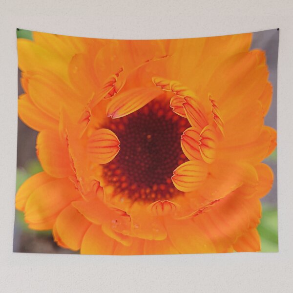 Item preview, opening calendula designed and sold by Bethan Rose Studio.
