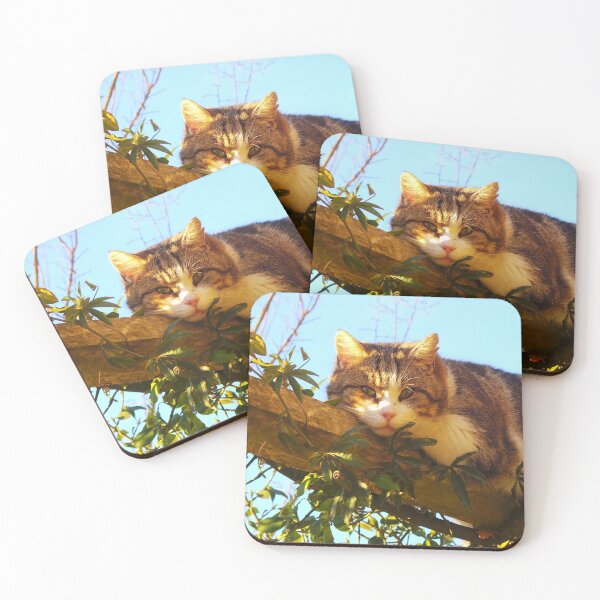 Item preview, French Cat designed and sold by GasconyPassion.