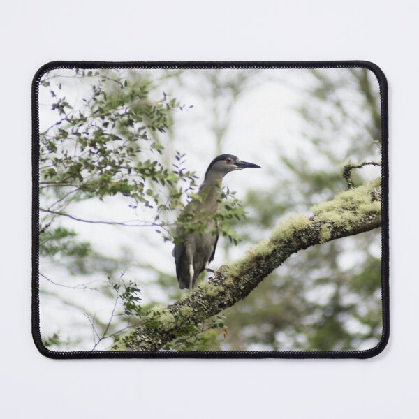 Item preview, elb night heron designed and sold by pcfyi.