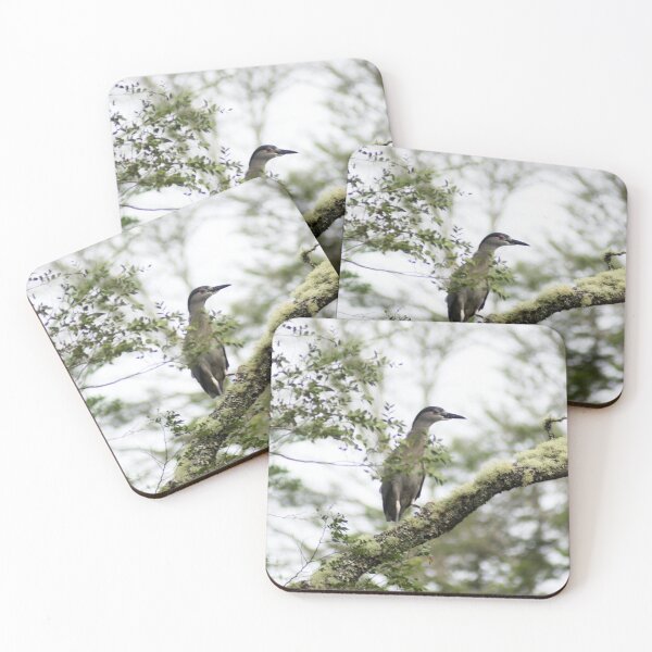 Item preview, elb night heron designed and sold by pcfyi.