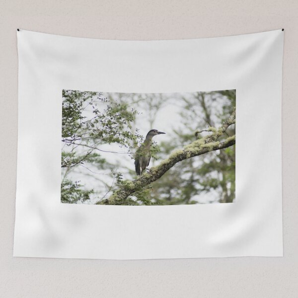 Item preview, elb night heron designed and sold by pcfyi.